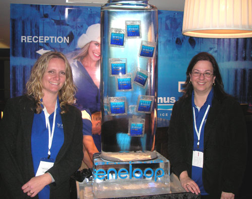 ice-sculpture-kelly--irene
