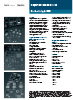 Datasheet PDF Thumbnail icon