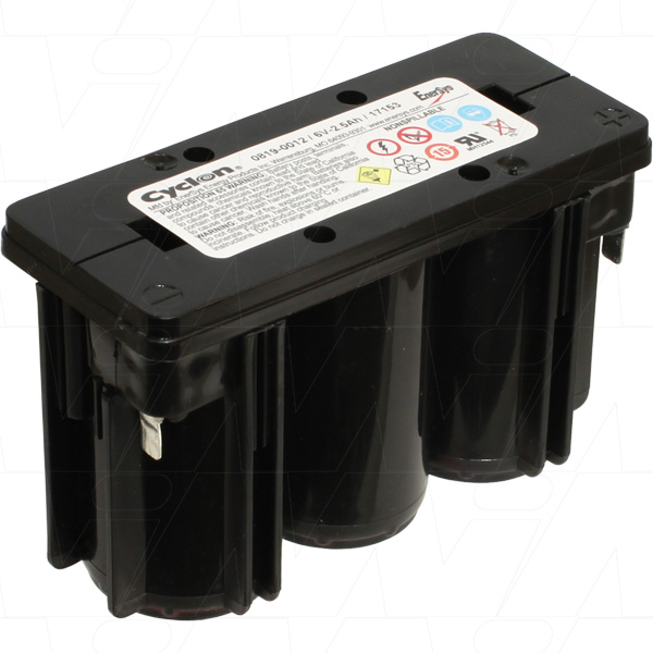 EnerSys 0819-0012