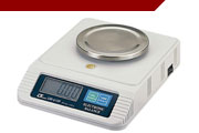 Electronic Weight Scales