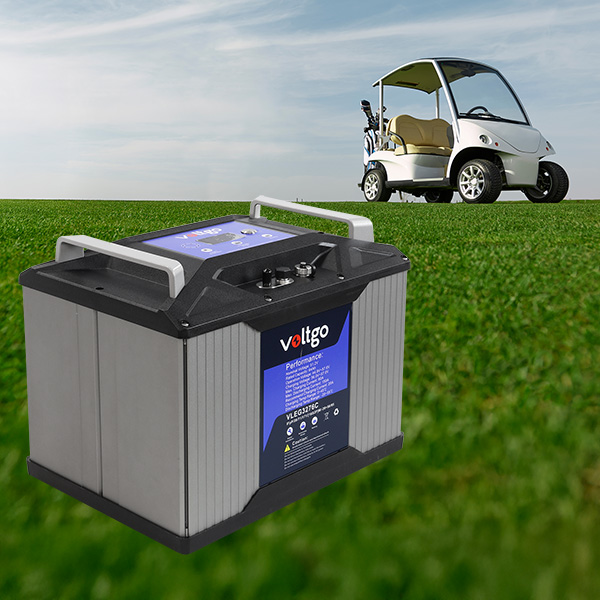 Voltgo Golf Coarse Icon