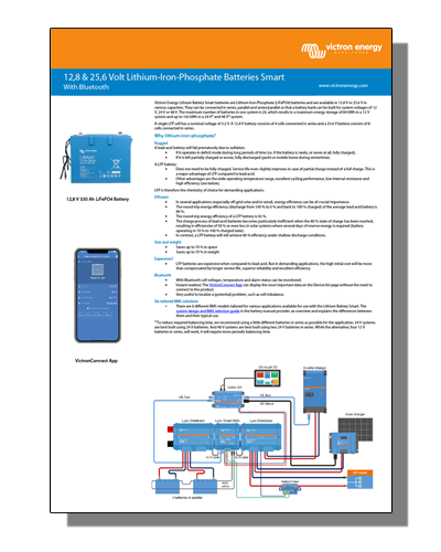 Smart Lithium Battery Datasheet