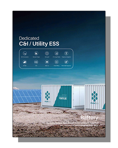 Container Based C&I / Utility Systems